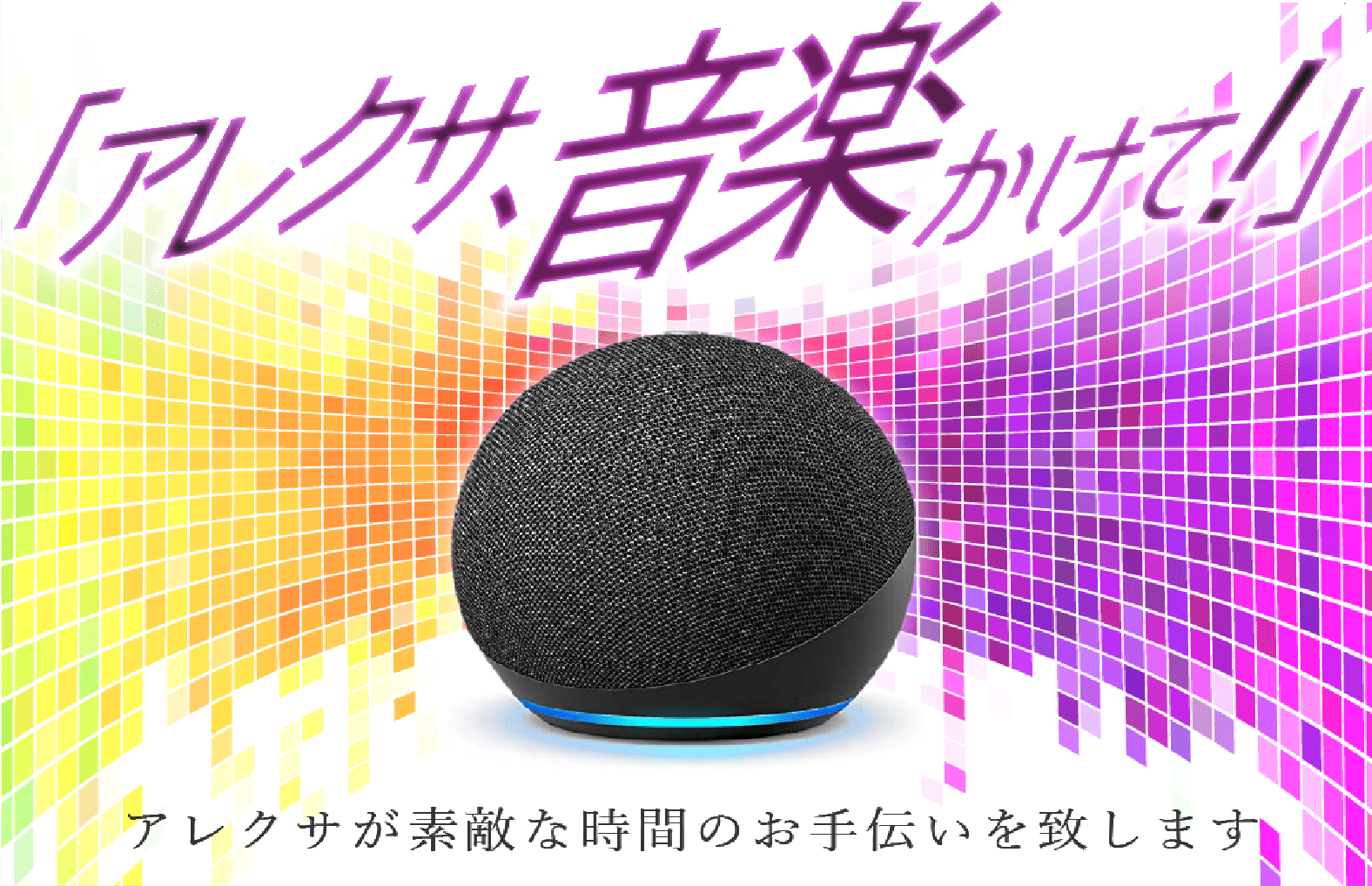 アレクサ設置